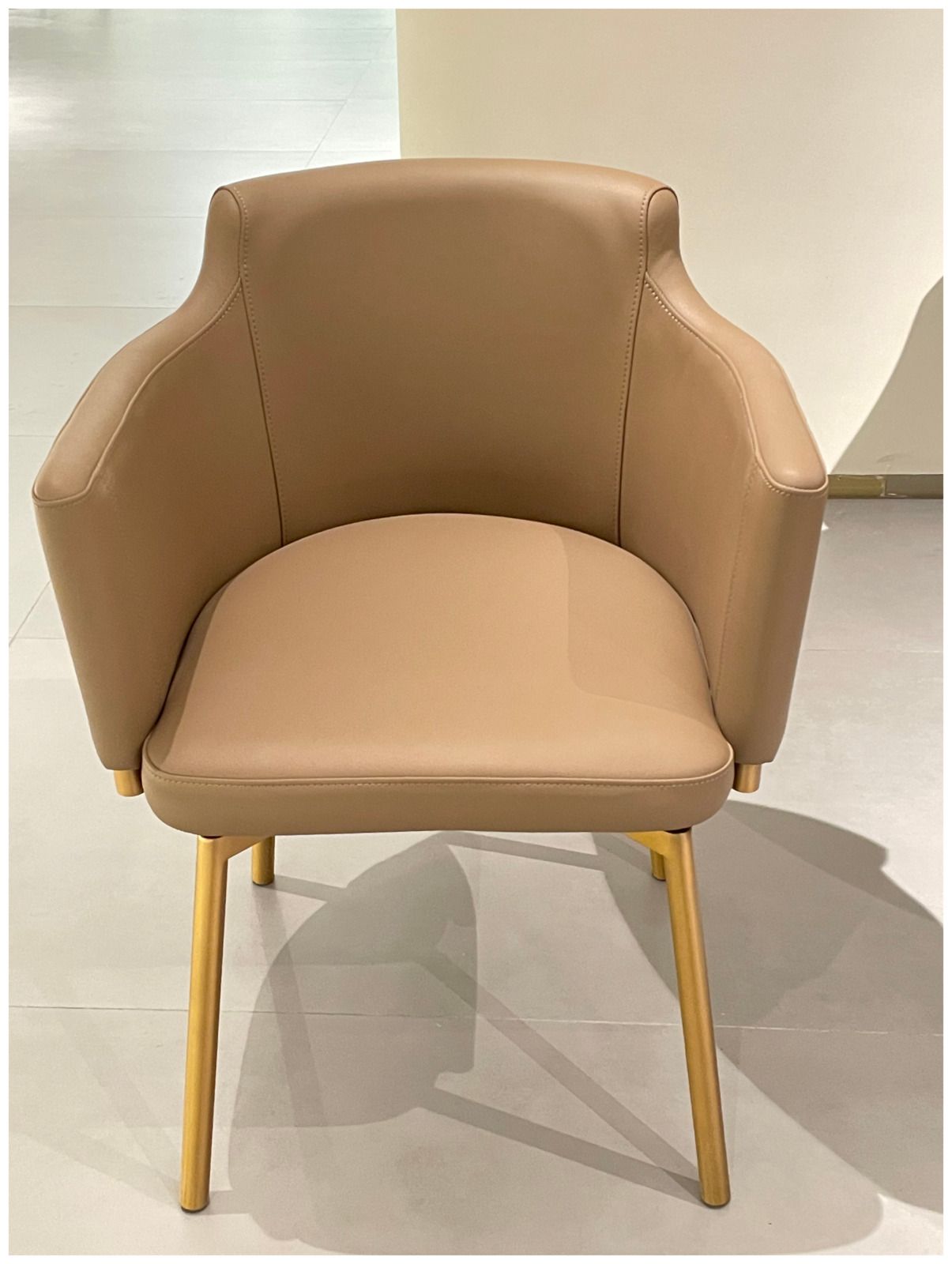 Dining Chair product photo for FADIOR HOME shop