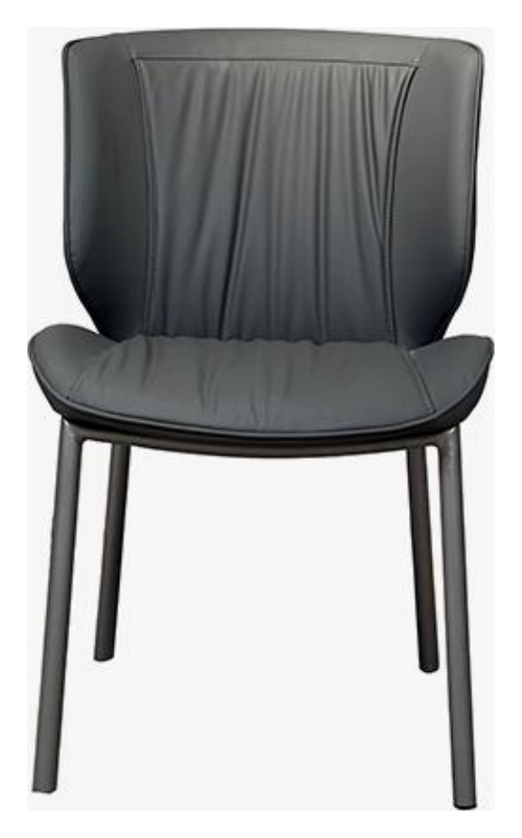 Dining Chair product photo for FADIOR HOME shop