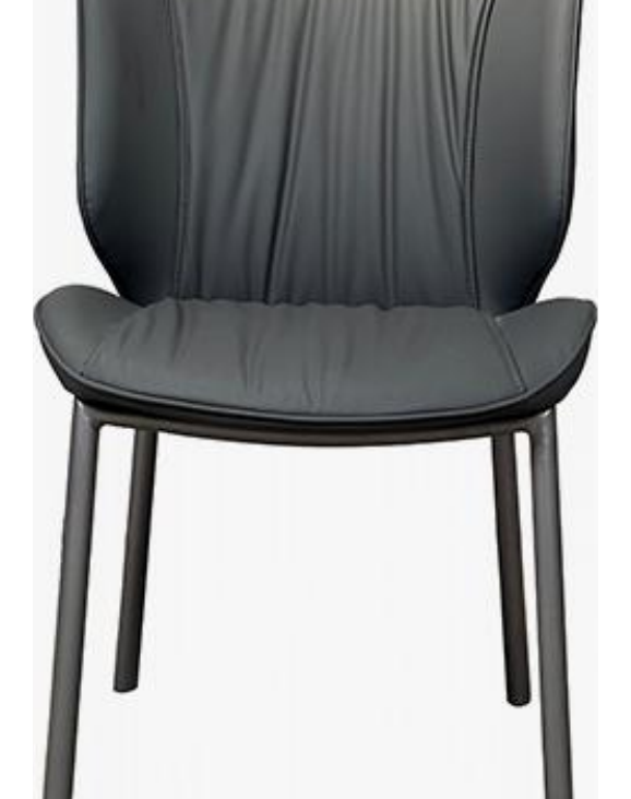 Dining Chair product photo for FADIOR HOME shop