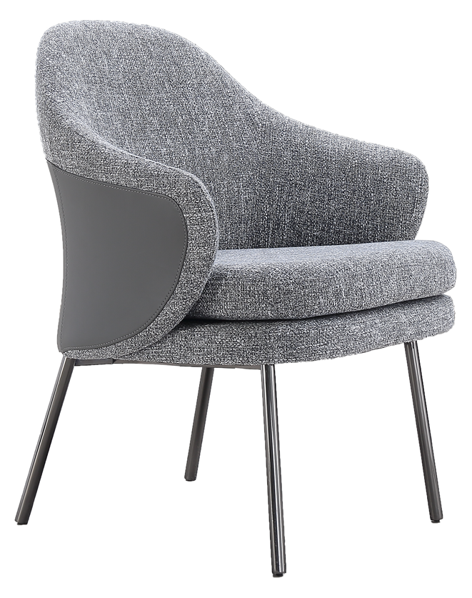 Dining Chair product photo for FADIOR HOME shop
