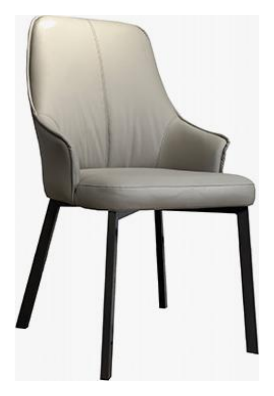 Leather-Accent Dining Chair product photo for FADIOR HOME shop