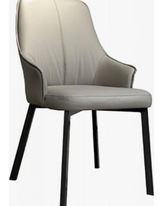 Leather-Accent Dining Chair product photo for FADIOR HOME shop