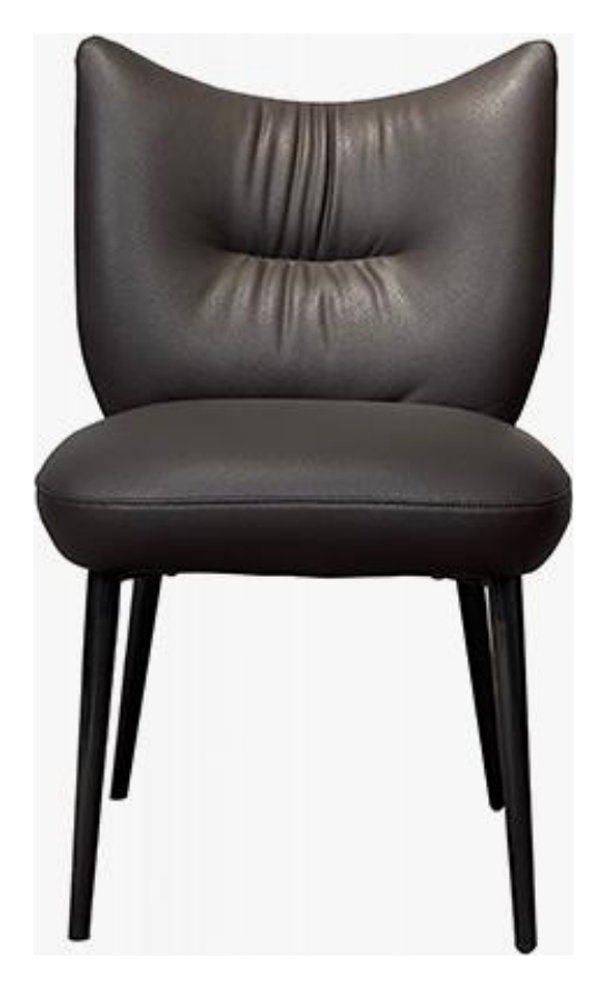 Dining Chair product photo for FADIOR HOME shop