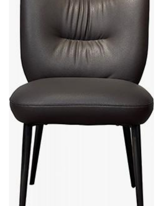 Dining Chair product photo for FADIOR HOME shop