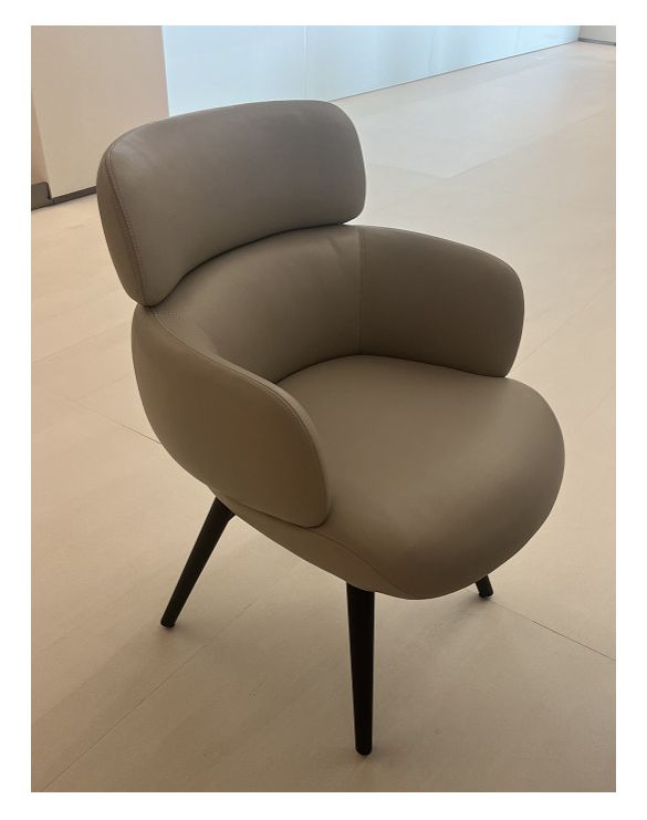 Dining Chair product photo for FADIOR HOME shop