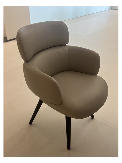 Dining Chair product photo for FADIOR HOME shop