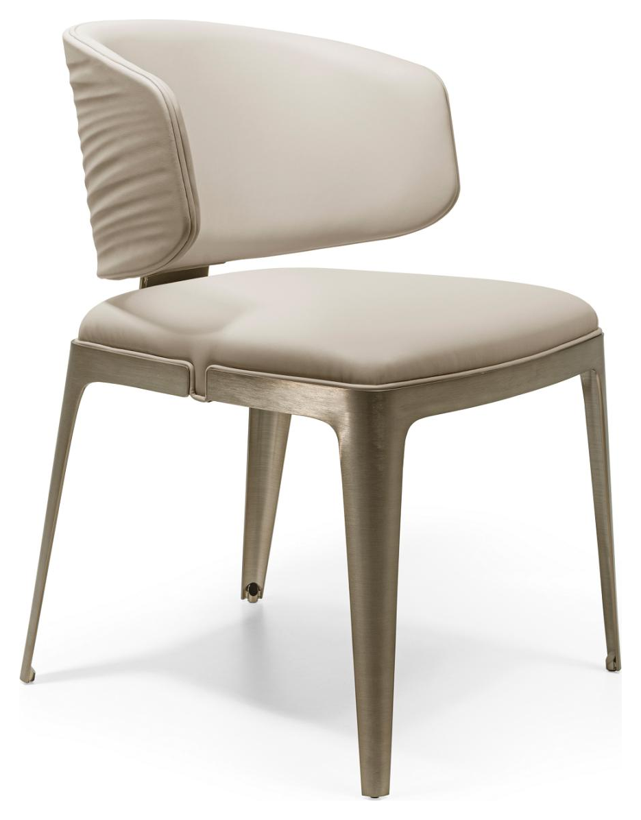 Dining Chair product photo for FADIOR HOME shop
