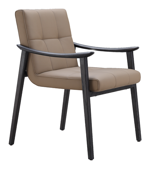 Dining Chair product photo for FADIOR HOME shop