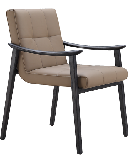 Dining Chair product photo for FADIOR HOME shop