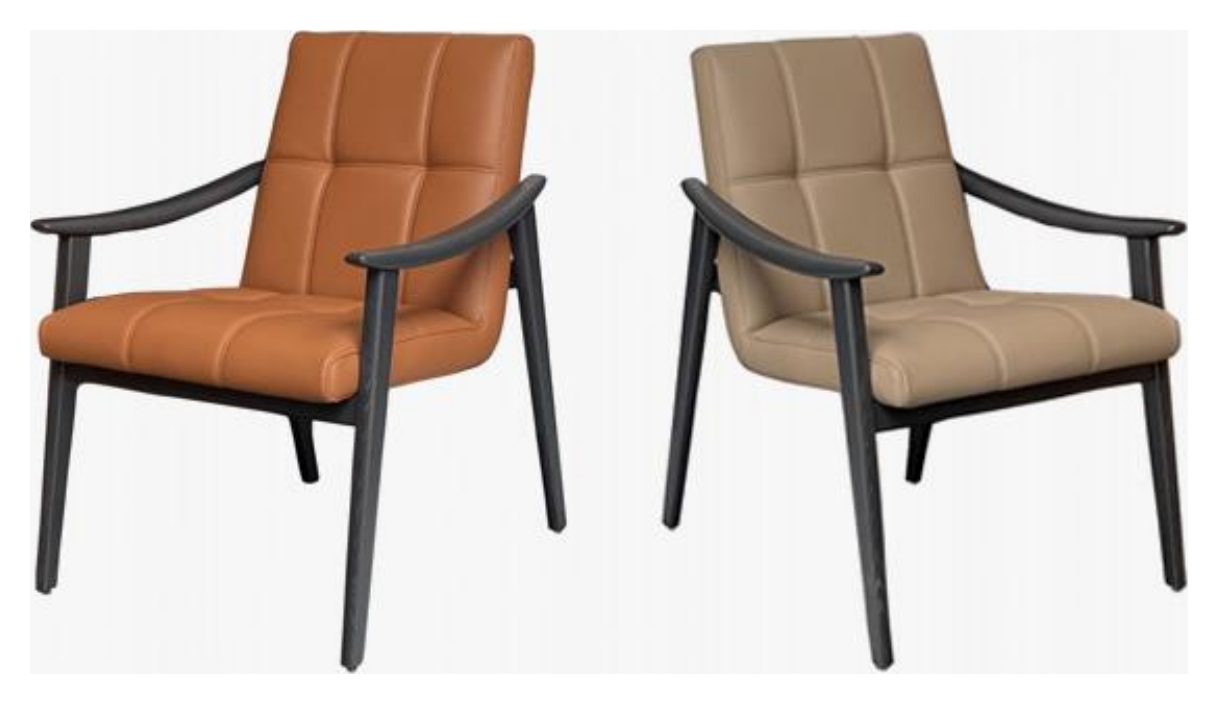 Leather-Accent Dining Chair product photo for FADIOR HOME shop