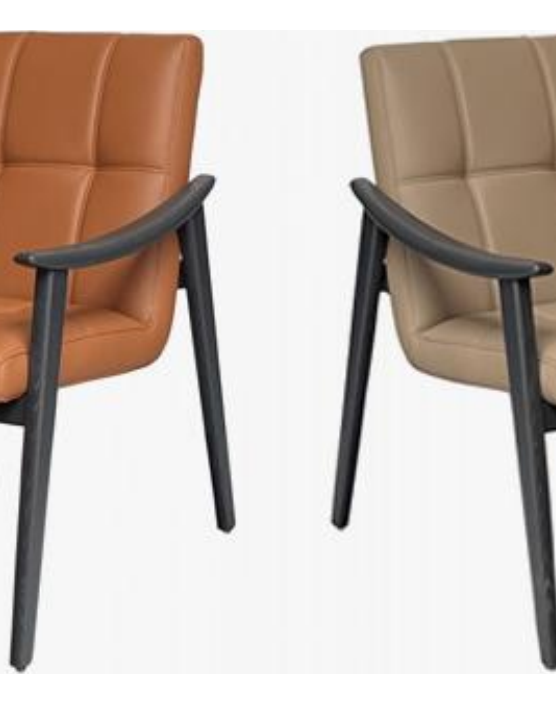Leather-Accent Dining Chair product photo for FADIOR HOME shop