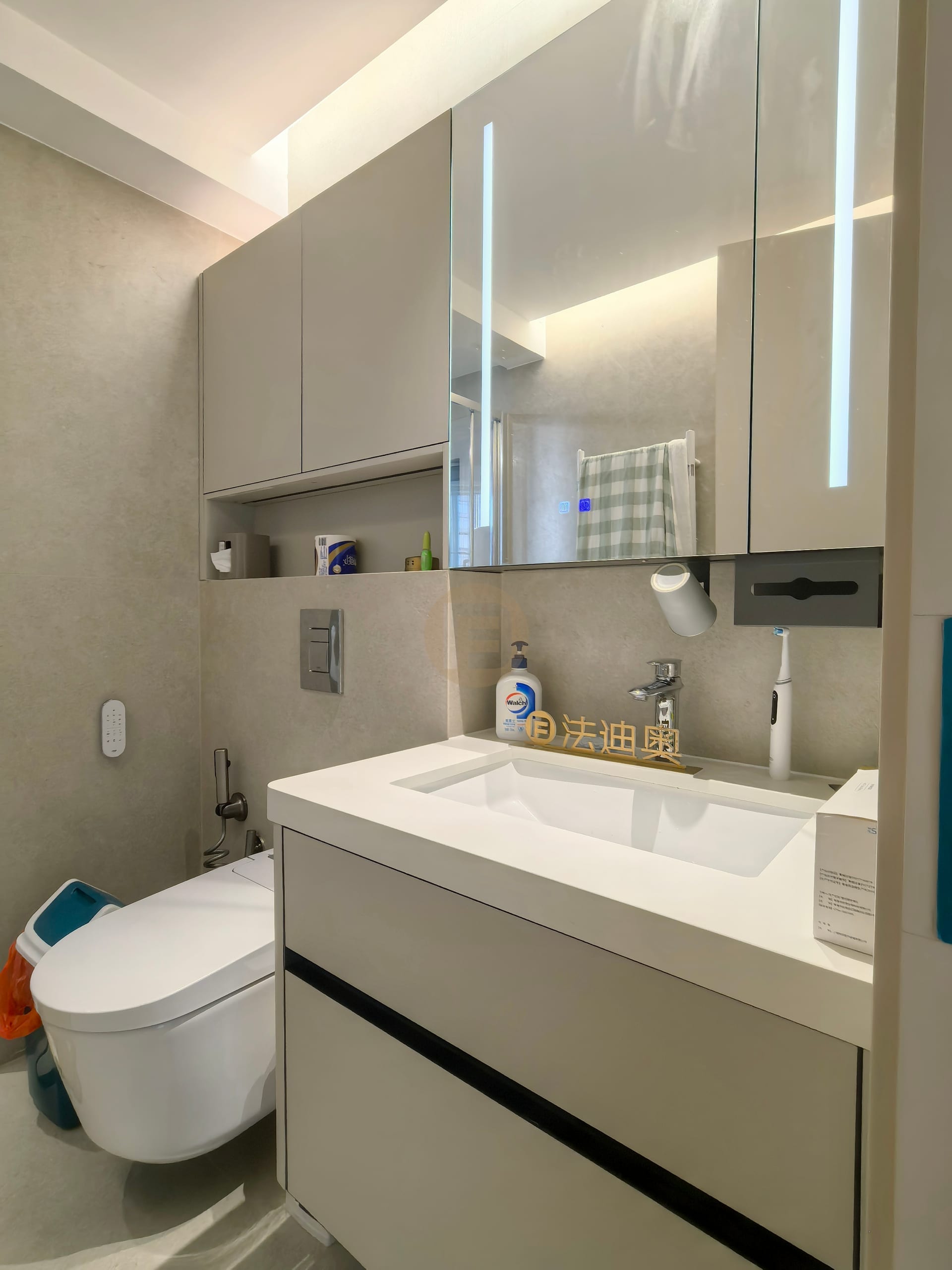 Greige bathroom vanity with stainless steel cabinetry, lit mirror cabinet and wall-hung storage