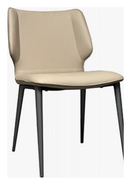 Dining Chair product photo for FADIOR HOME shop