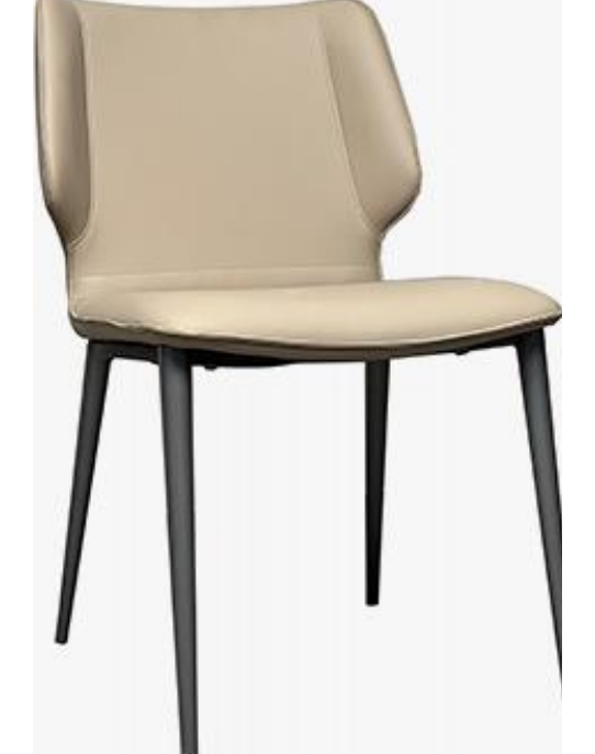 Dining Chair product photo for FADIOR HOME shop