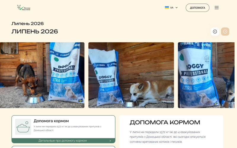 Місячний фінансовий звіт фонду Янголи Хвостиків
