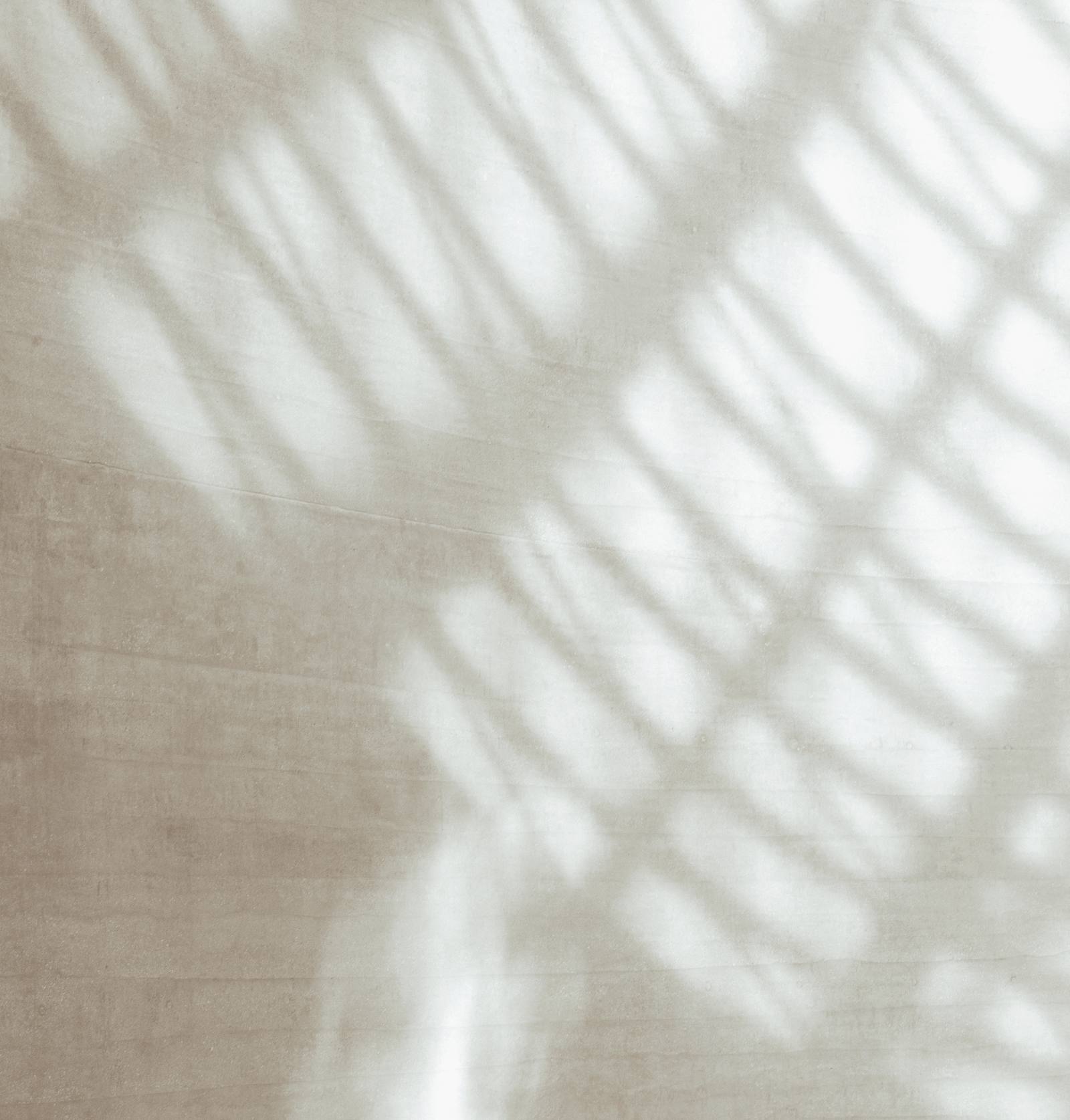 Palm leaf shadows fall on a minimalist wall and bench.
