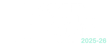 UK Cyber Security Council