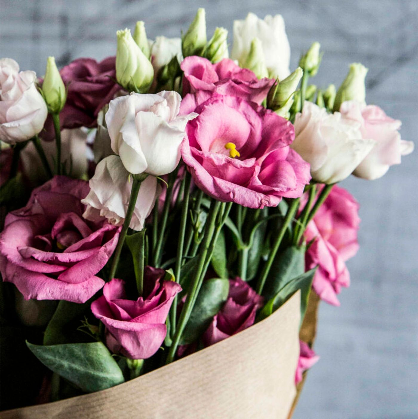 Alexandra’s Floral Journal image