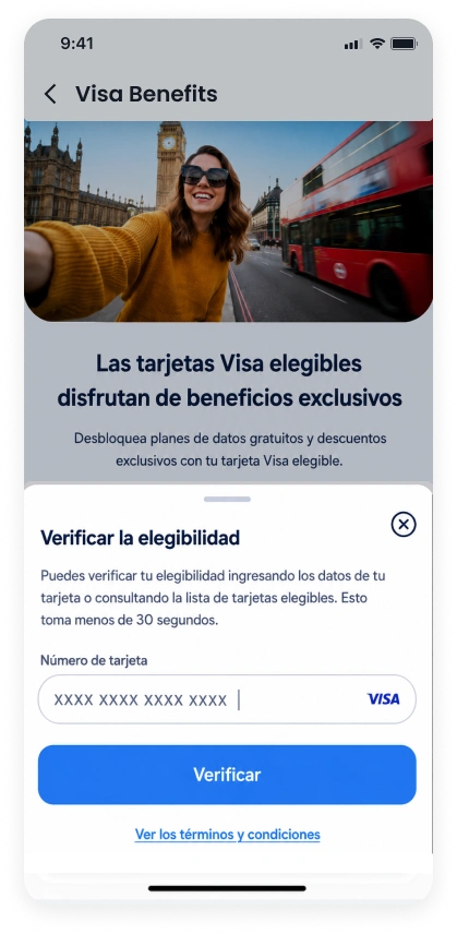 Enter Visa card number