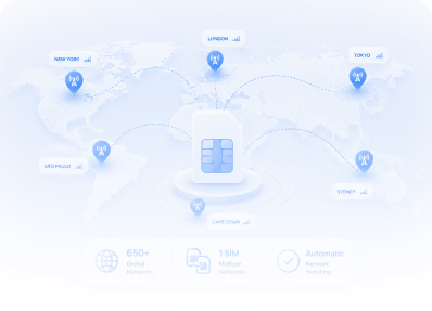 Multi-network global connectivity illustration