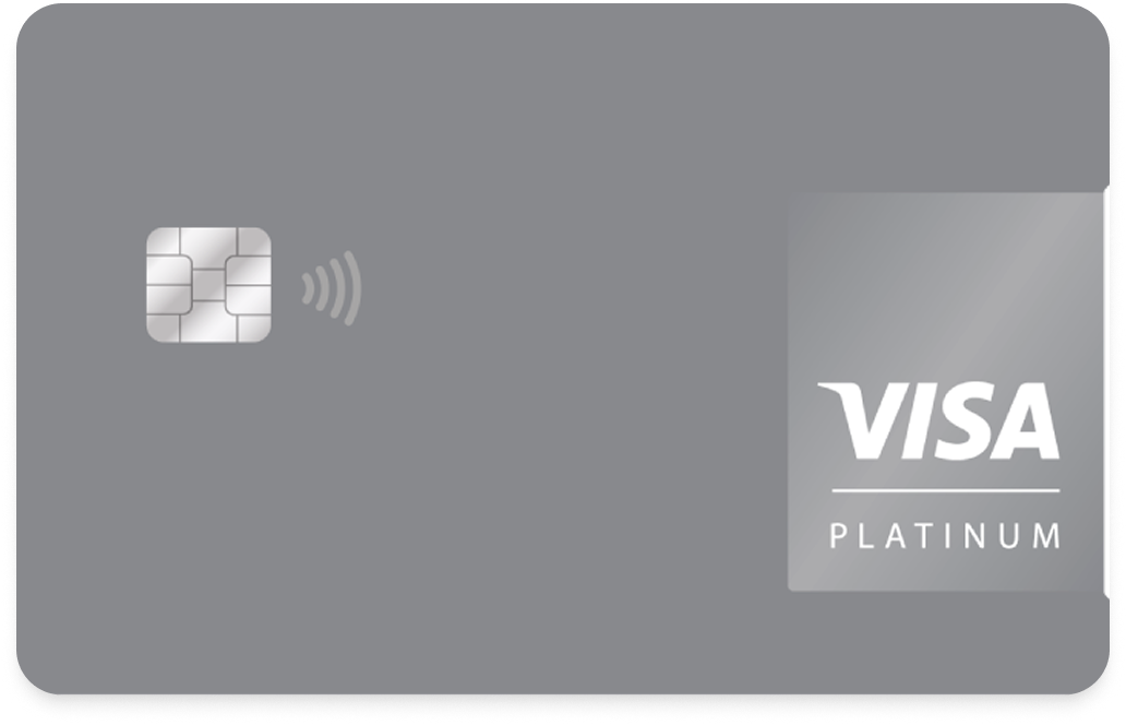 Visa Platinum card