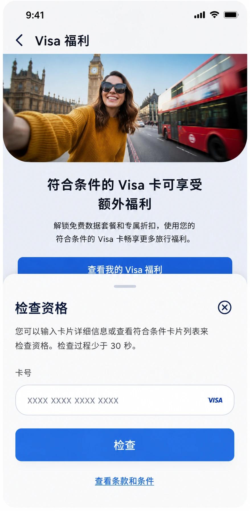 输入您的 Visa 卡号