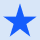 Star icon