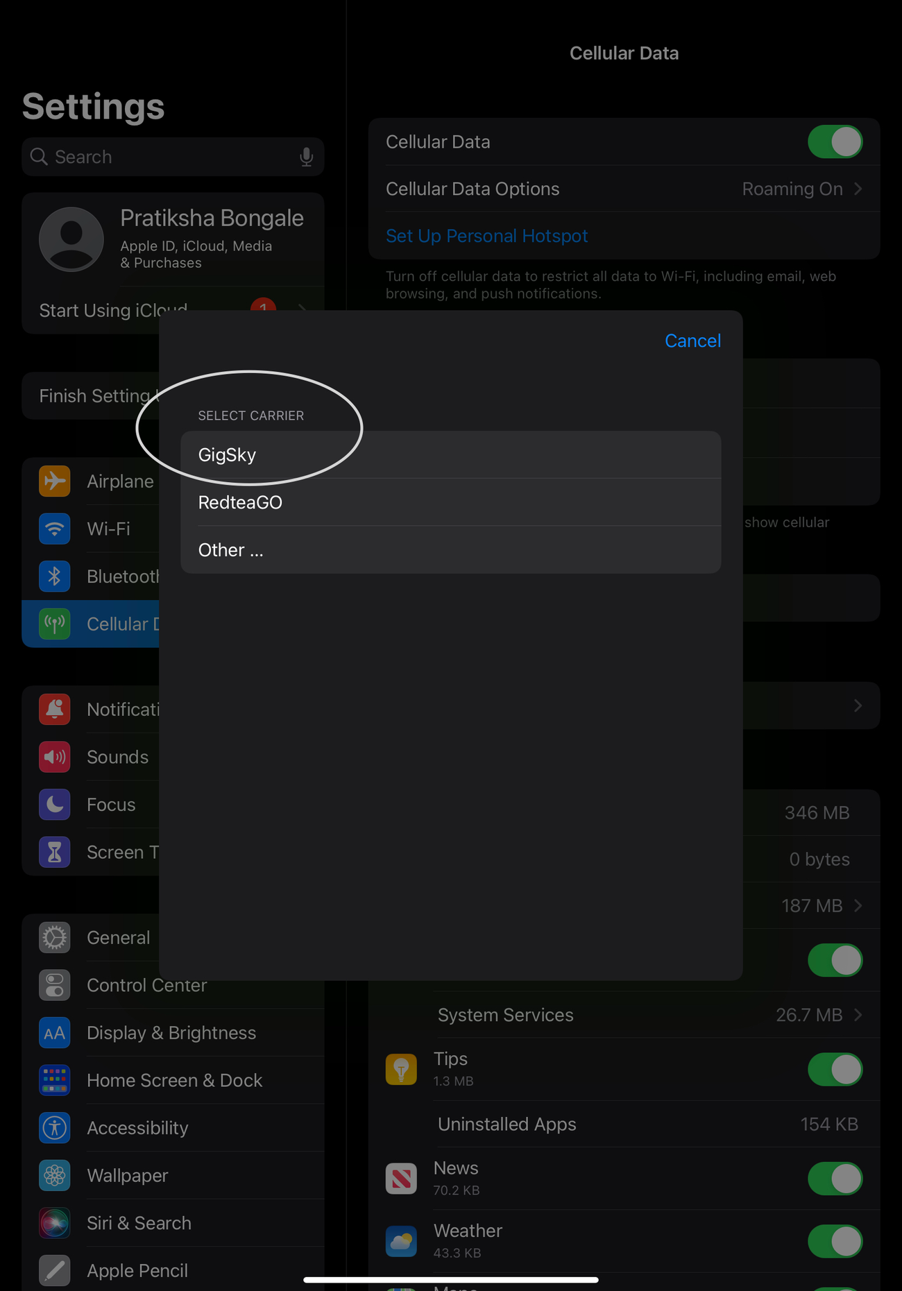 Everything You Need to Know About iPad
