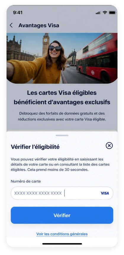 Enter Visa card number