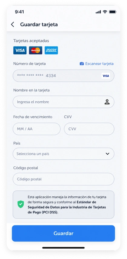 Enter Visa account details