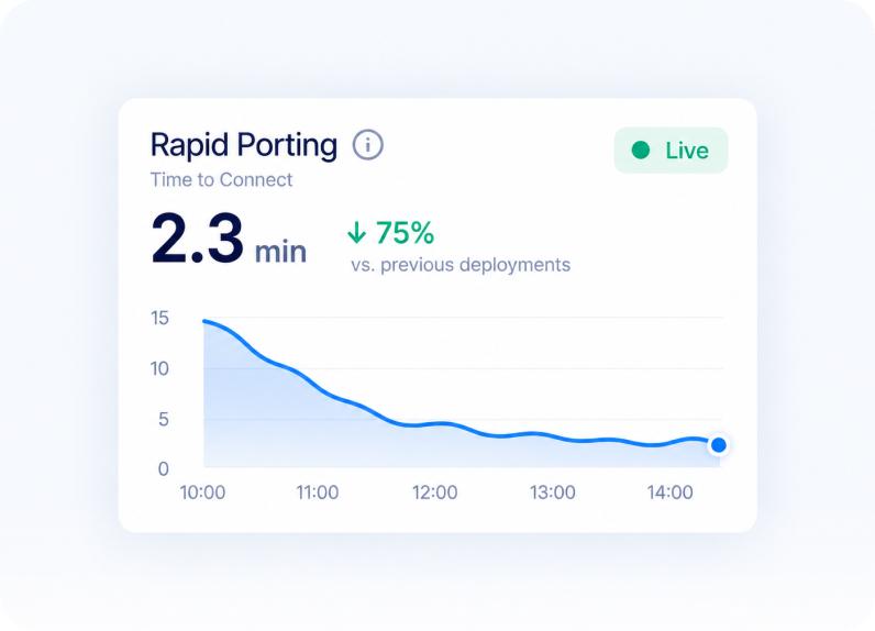 Rapid Porting