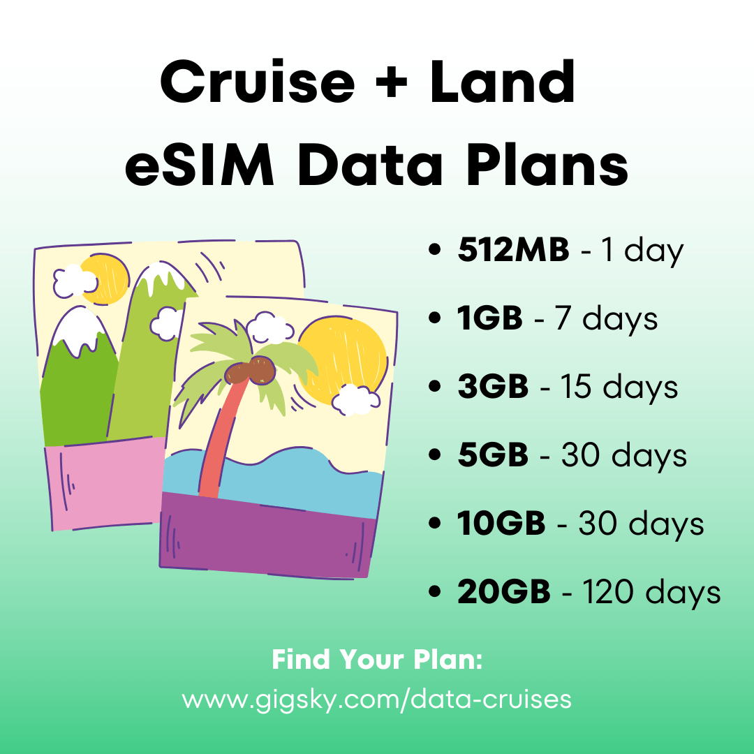 cruise internet