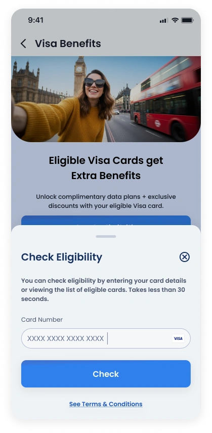 Enter Visa card number