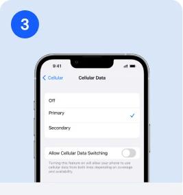 Phone showing iOS Cellular Data settings with Allow Cellular Data Switching off