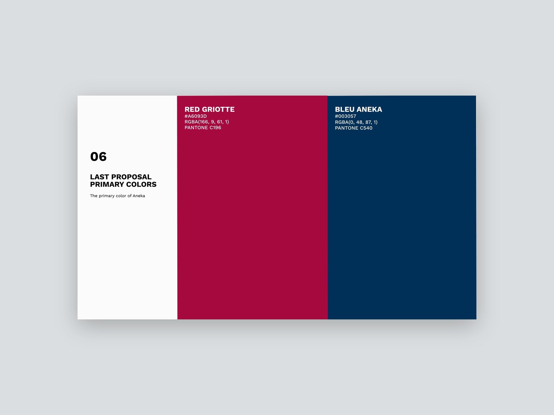 Aneka — Identité de marque — 4