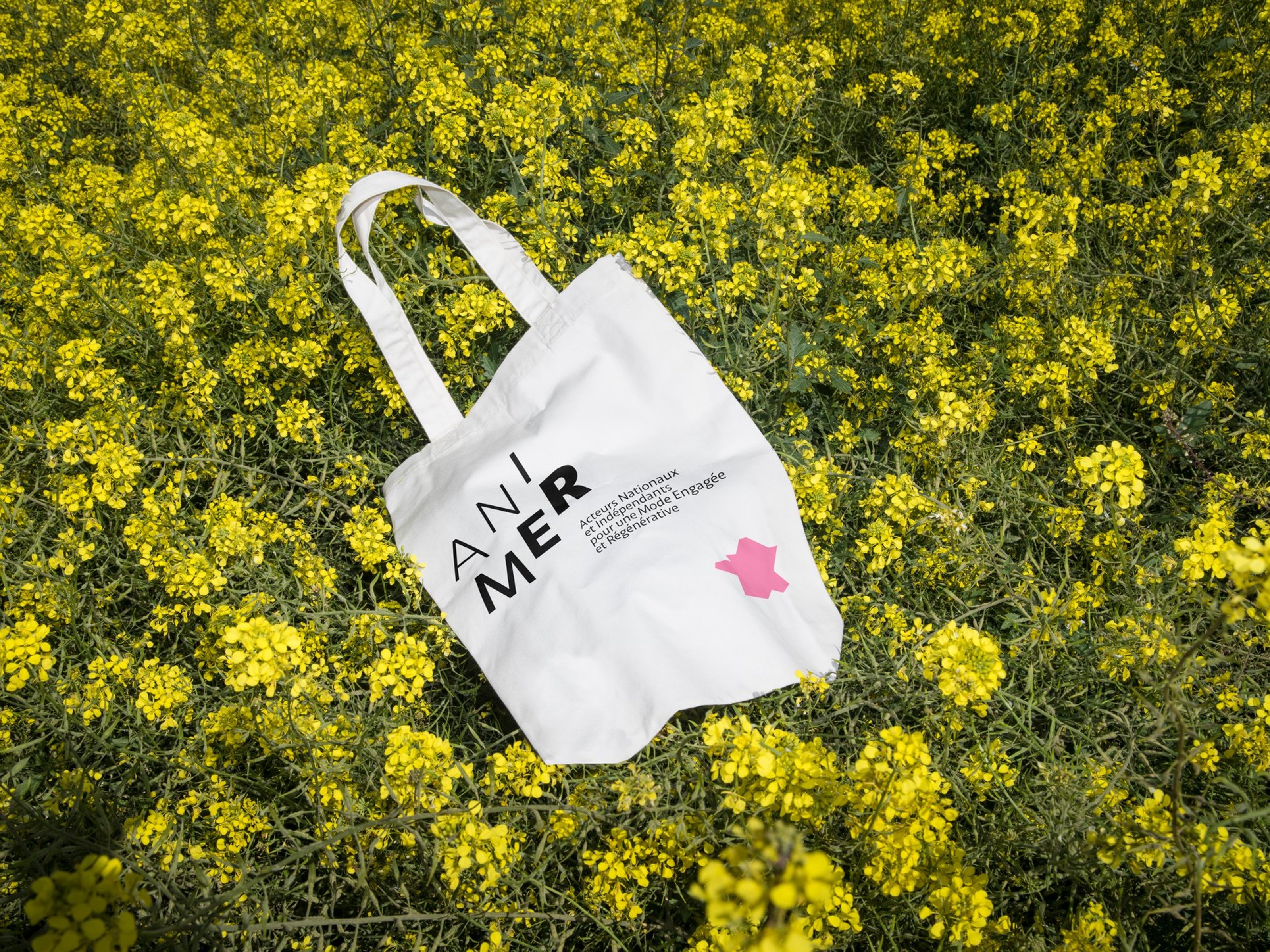 Animer — Brand Guidelines