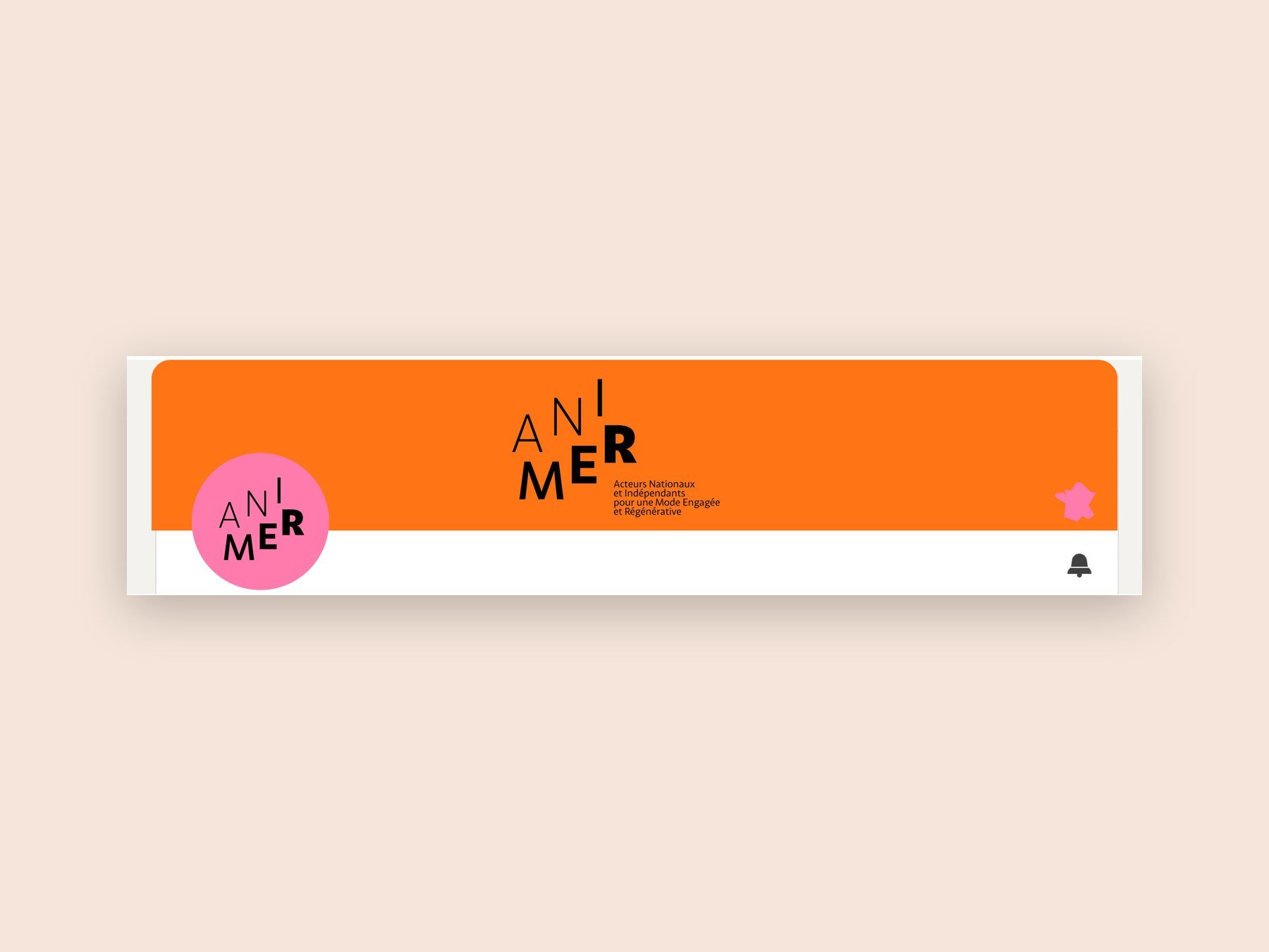 Animer — Brand Guidelines — 8