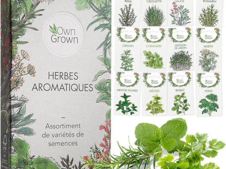 Kit d'herbes aromatiques à planter