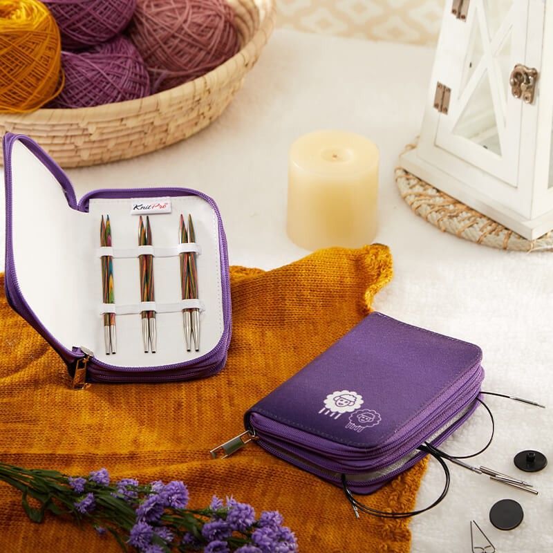Kit d'aiguilles circulaires interchangeables
