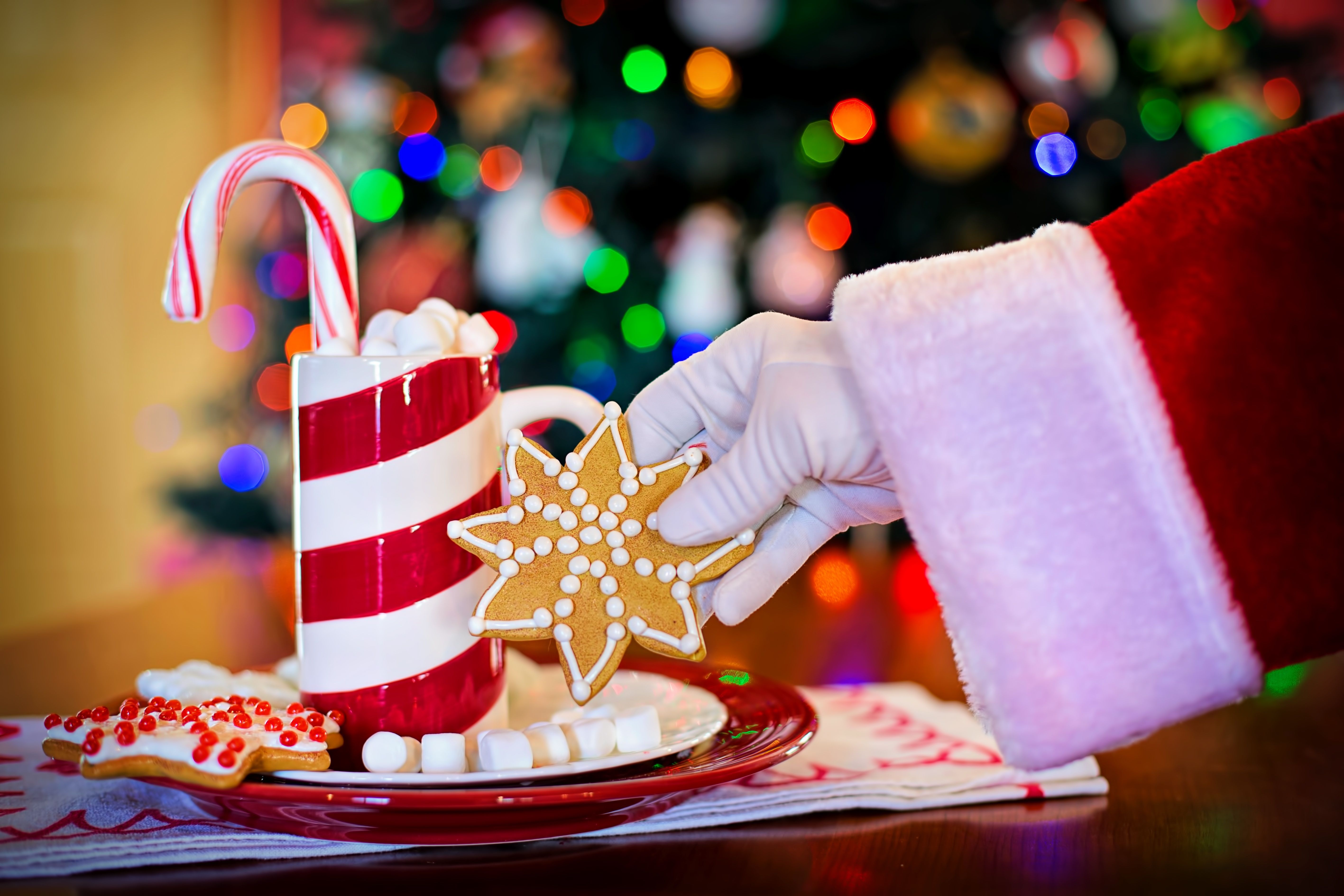 Main de père Noel qui tient un biscuit