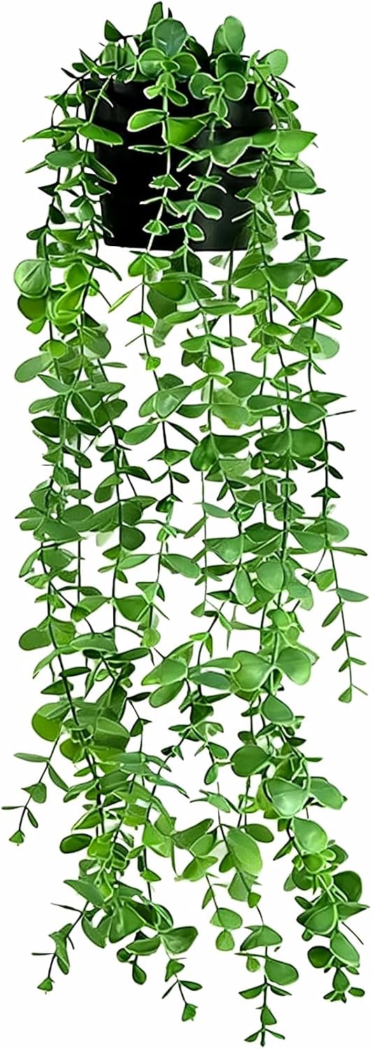 Plante tombante artificielle