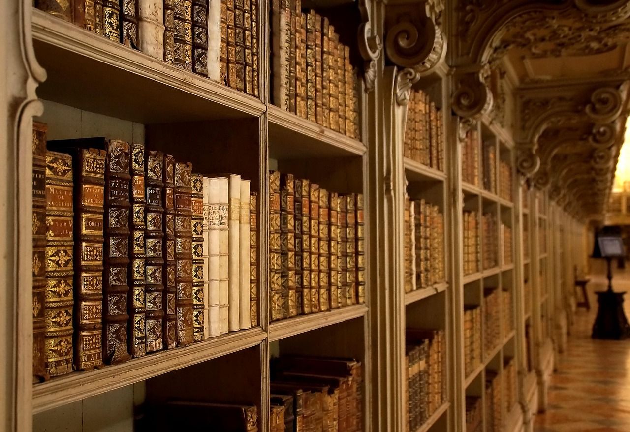 Image d'un livre illustrant une bibliothèque