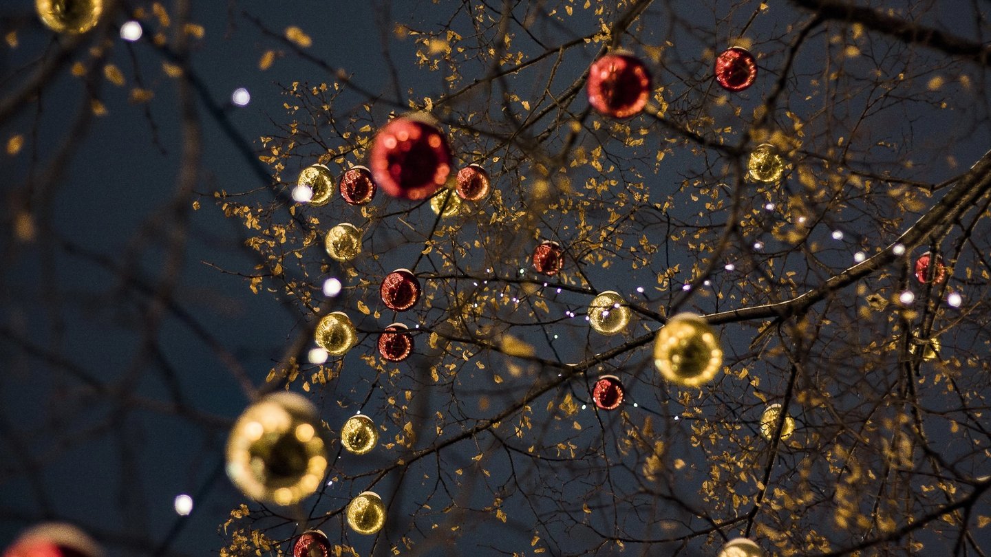guirlande de noel dans les arbres