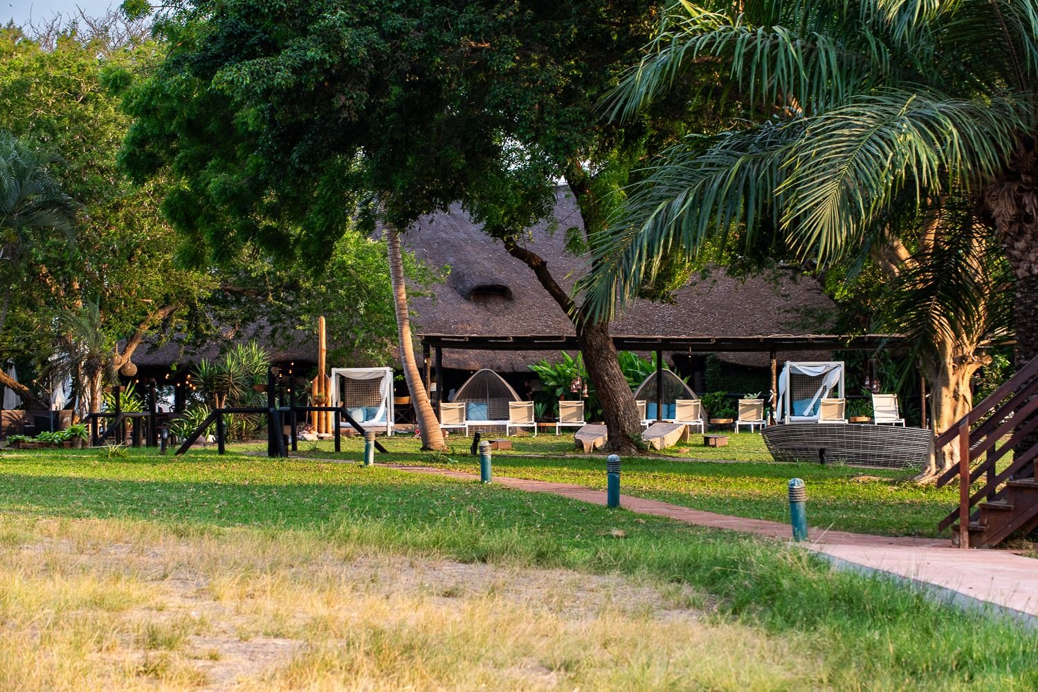 Lawns and palm trees in front of the pool loungers and thatched buildings