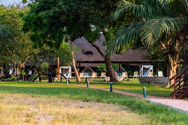 Lawns and palm trees in front of the pool loungers and thatched buildings