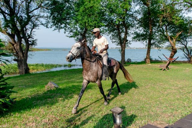 Rider on a grey horse trotting across the lawn by the lagoon