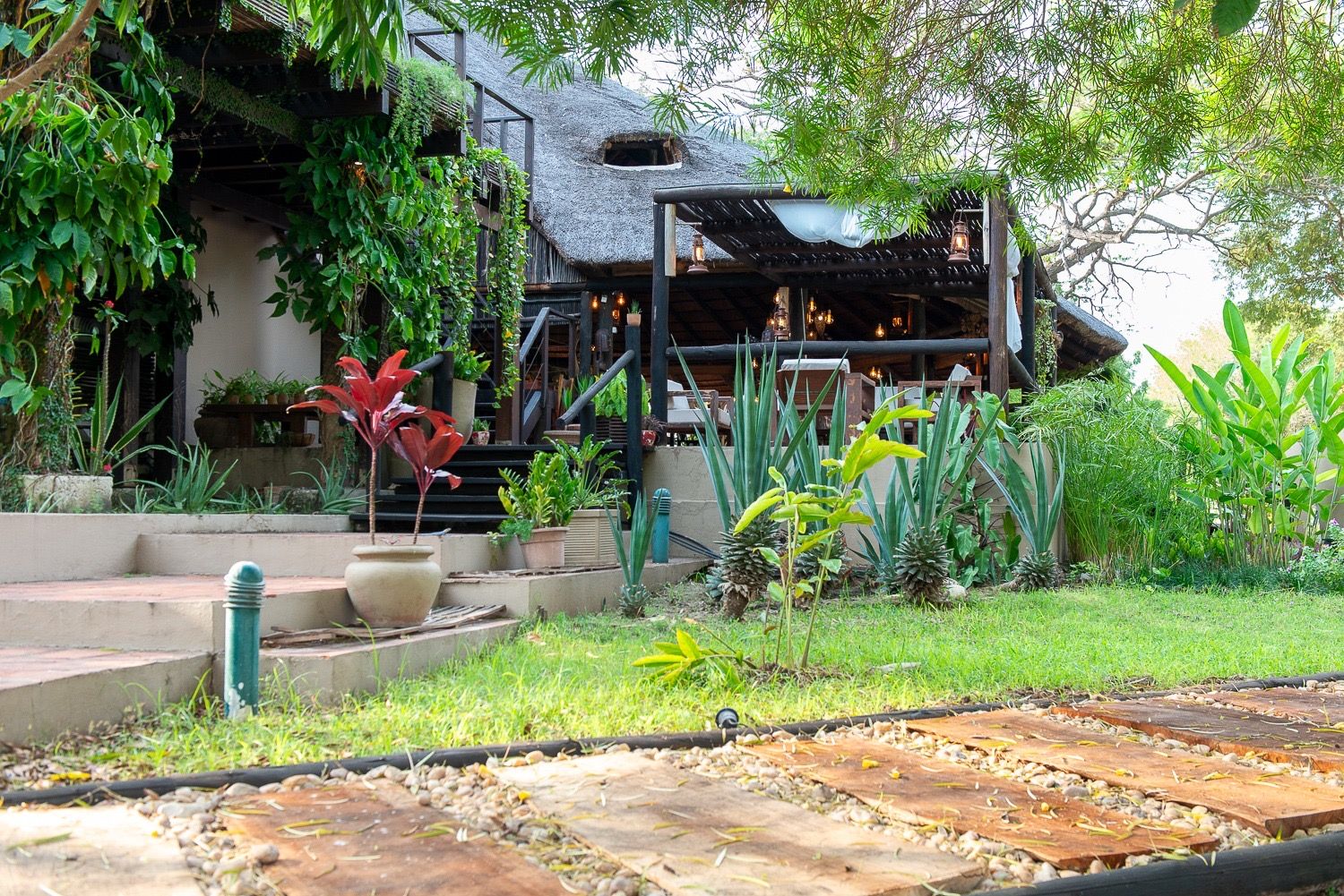 Lodge building with a thatched roof, garden steps and a stone path