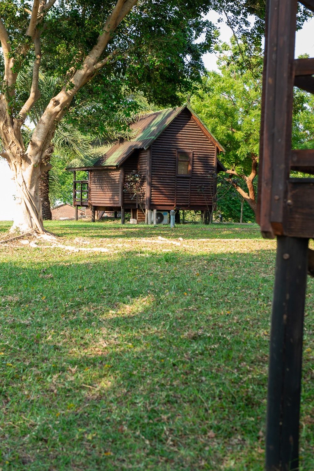 Wooden cabana on a lawn under large shade trees