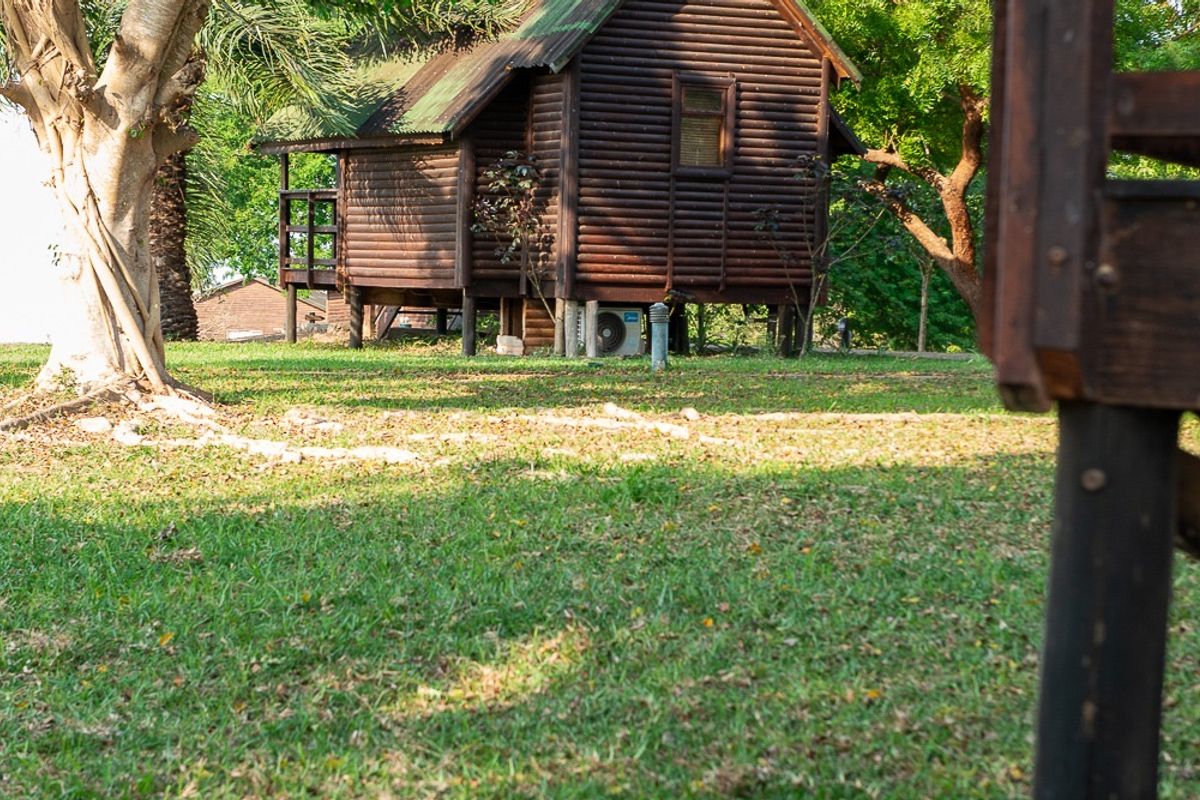 Wooden cabana on a lawn under large shade trees