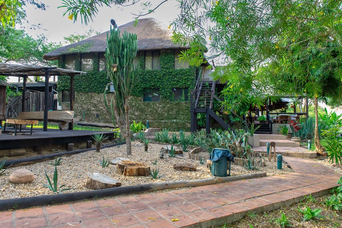 Ivy-covered main building with a thatched roof and a cactus garden in front